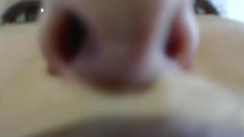 WildRose L - check my Pinned tweet if you dont see me online within 5 minutes after Ive sent email notifications online show from 04-26-26, 10:07