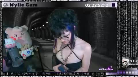 Snapshot of wildwylie chatting on 01-15-25, 04:57 Wylie Wanderlust online show from 01-15-25, 04:57