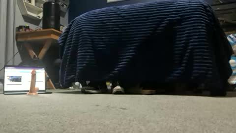 williambisexual online show from 12-22-25, 12:40