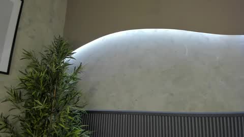 Ms Willow online show from 02-20-25, 04:25