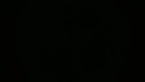 willylicks online show from 02-21-26, 12:06