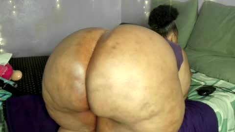 wilmaassylum online show from 07-28-26, 12:48