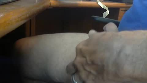 Snapshot of wineman88886 chatting on 03-21-26, 05:05 Wineman88886 online show from 03-21-26, 05:05