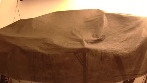 Mater online show from 01-22-25, 04:02