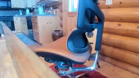 Snapshot of wobbleon chatting on 01-03-25, 10:19 Gobbleon online show from 01-03-25, 10:19