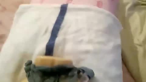 Snapshot of wood6957 chatting on 11-01-25, 12:29 wood6957 online show from 11-01-25, 12:29