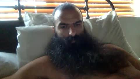 woof_wolf37 online show from 02-02-26, 03:22