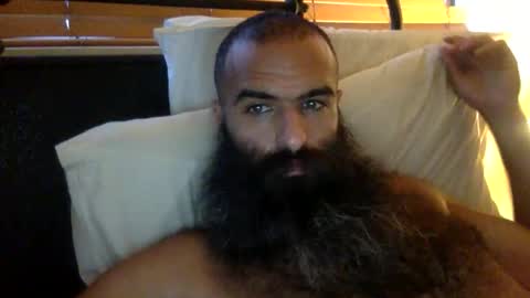 woof_wolf37 online show from 02-05-26, 02:54