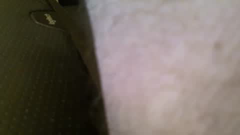 wrangleat0r online show from 01-11-26, 05:56