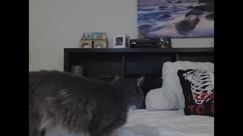 Crystal Lake online show from 09-25-25, 10:19