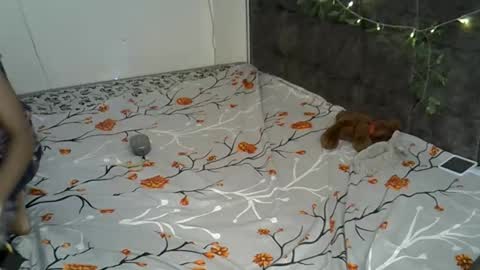 Snapshot of xalia_caramel chatting on 11-17-25, 02:23 Alexa online show from 11-17-25, 02:23