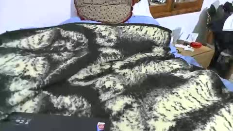 Snapshot of xaxi3 chatting on 01-10-26, 11:31 xaxi3 online show from 01-10-26, 11:31