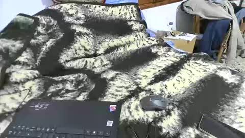 Snapshot of xaxi3 chatting on 03-15-26, 03:45 xaxi3 online show from 03-15-26, 03:45