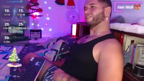 Snapshot of xein_wolf chatting on 12-22-24, 02:49 Xein Independent Model online show from 12-22-24, 02:49