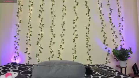    online show from 06-27-26, 10:04
