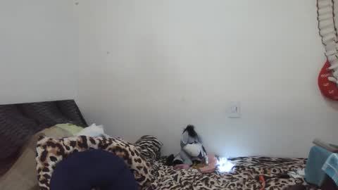 Snapshot of xime5144838 chatting on 02-17-25, 10:14 Ximena online show from 02-17-25, 10:14