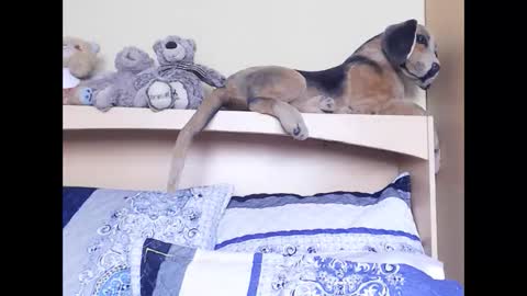 Snapshot of xindianillusion44 chatting on 02-06-26, 11:24 Miss Ria online show from 02-06-26, 11:24