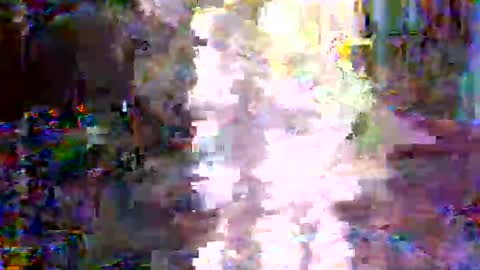 Snapshot of xixo6969 chatting on 02-03-26, 02:53 xixo6969 online show from 02-03-26, 02:53