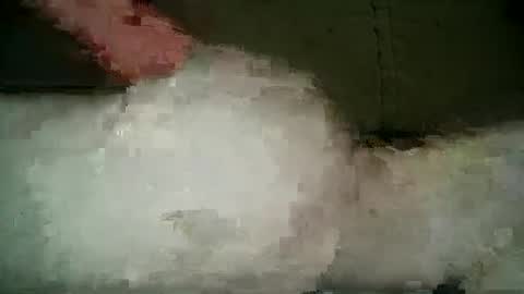 Wendy online show from 03-05-25, 09:59