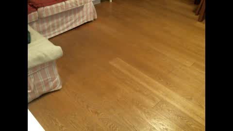 xmystiqdreamsx online show from 01-26-25, 12:01