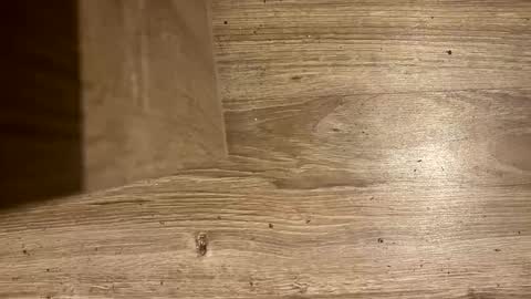 Antonio del Pa ero online show from 03-08-26, 12:30