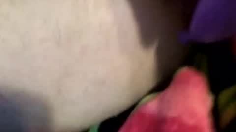 XxXCoupleOrgasmicXxX online show from 04-04-26, 07:00
