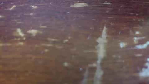 Snapshot of yagishirafe chatting on 11-13-25, 02:38 yagishirafe online show from 11-13-25, 02:38