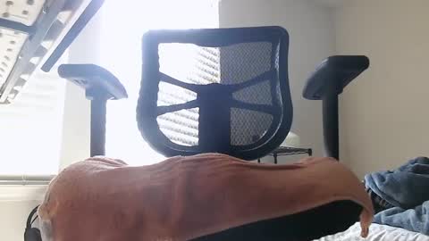 yahbuddy online show from 10-03-25, 07:55