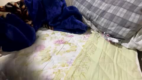 Snapshot of yasarsimo99154258 chatting on 02-23-26, 12:09 yasarsimo99154258 online show from 02-23-26, 12:09