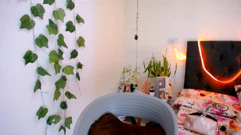 YEM online show from 06-10-26, 03:55