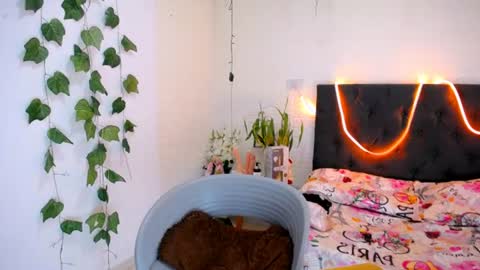 YEM online show from 06-11-26, 04:16