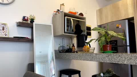 Snapshot of yes_mommy_zlata chatting on 02-02-25, 10:28 Zlata online show from 02-02-25, 10:28