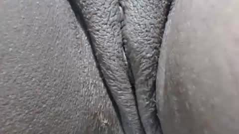 Snapshot of yirily chatting on 03-21-26, 05:34 yirily online show from 03-21-26, 05:34