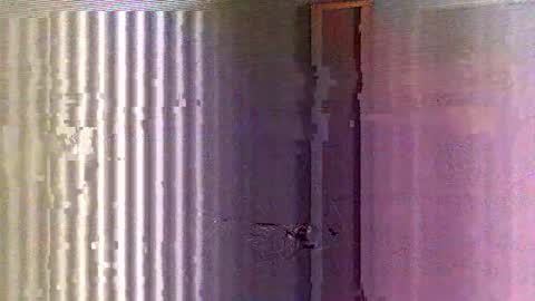 Snapshot of yorel64 chatting on 02-16-25, 06:10 yorel64 online show from 02-16-25, 06:10