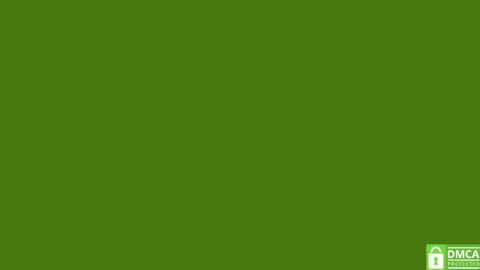 Pipo online show from 09-19-25, 01:34