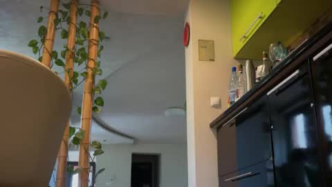 your_sex_dream_25 online show from 07-22-26, 01:03
