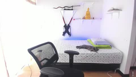 Tao online show from 02-26-26, 03:33