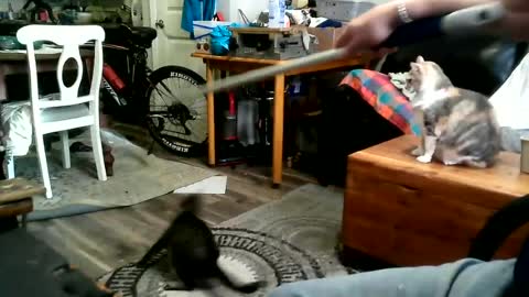 yourbeast247 online show from 06-27-26, 12:22
