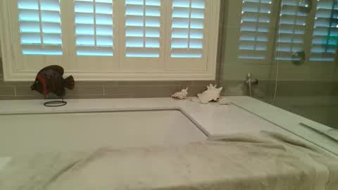 Snapshot of yttims chatting on 02-01-26, 03:43 yttims online show from 02-01-26, 03:43