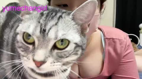 Snapshot of yumechangirl chatting on 02-06-25, 03:16 YumechangirlAnime Fan    online show from 02-06-25, 03:16