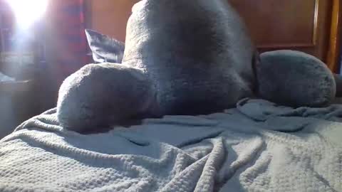 Snapshot of yungstallion10 chatting on 12-19-25, 10:28 Fire 0range kush online show from 12-19-25, 10:28