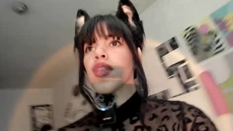 paola online show from 11-26-25, 08:43