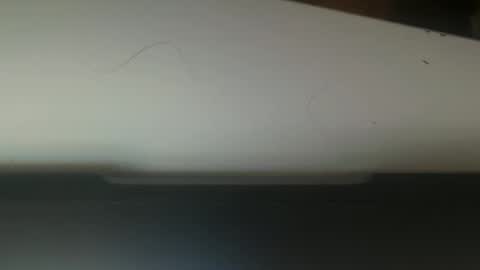 zachbundy online show from 11-01-25, 08:49