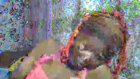 zarinamarlin online show from 04-03-26, 06:00