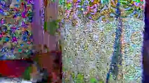 zarinamarlin online show from 04-09-26, 07:03