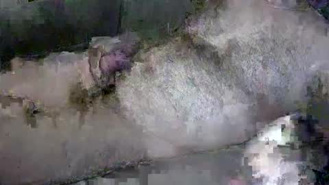 Snapshot of zepincam chatting on 10-13-25, 05:18 zepincam online show from 10-13-25, 05:18