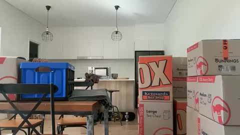 zeroventure online show from 03-31-26, 03:52