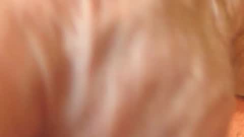 Snapshot of zevioo77 chatting on 11-18-25, 11:58 zevioo77 online show from 11-18-25, 11:58