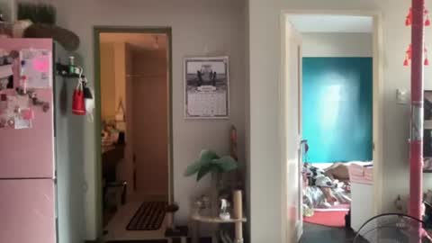 Ziggy ziggy-   online show from 07-08-26, 12:15