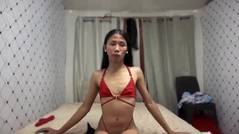 Zinnia nics online show from 11-10-25, 05:17